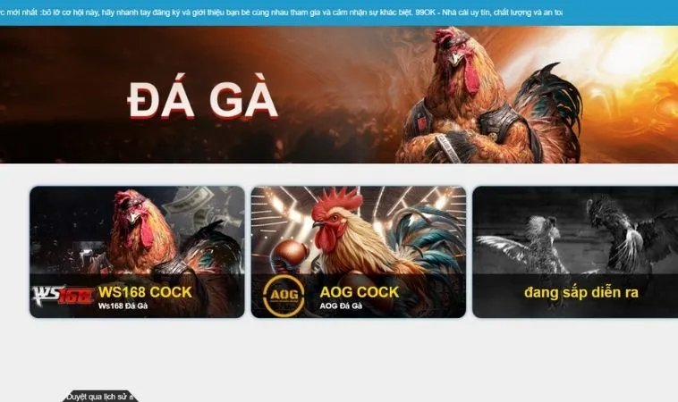 Sảnh đá gà 99OK thiết kế giao diện đẹp, chuyên nghiệp