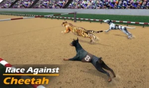 Đua Chó tại 99OK