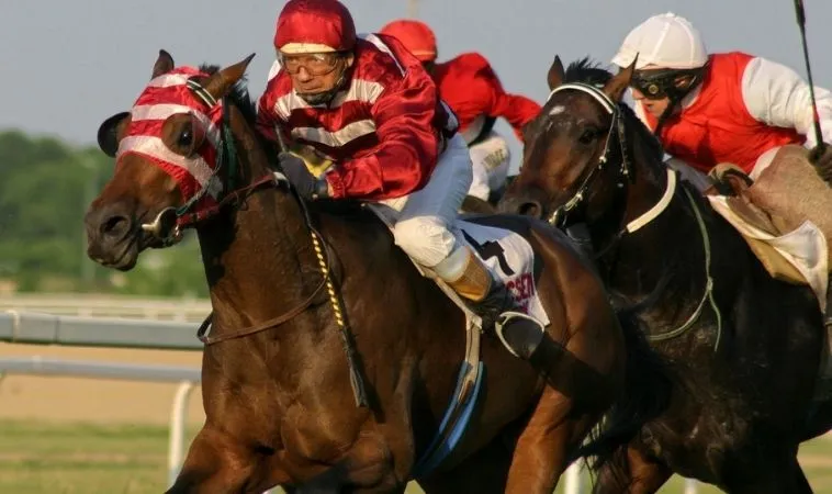 Tham Gia Cá Cược Đua Ngựa 99OK Kích Thích Thắng Lớn Ngay Hôm Nay 2 Cần tìm hiểu về bộ môn Đua Ngựa 99OK trước khi cá cược