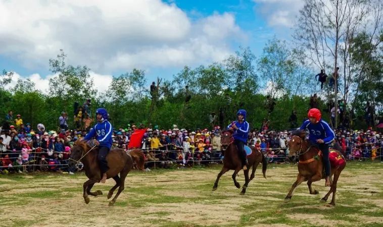 Tham Gia Cá Cược Đua Ngựa 99OK Kích Thích Thắng Lớn Ngay Hôm Nay 1 Đua Ngựa 99OK